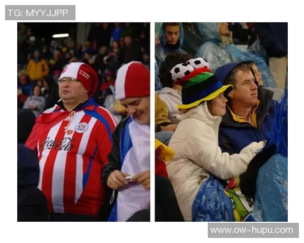 2010世界杯足球盛宴回顾:激情与荣耀交织的南非之旅 2010世界杯足球盛宴回顾:激情与荣耀交织的南非之旅