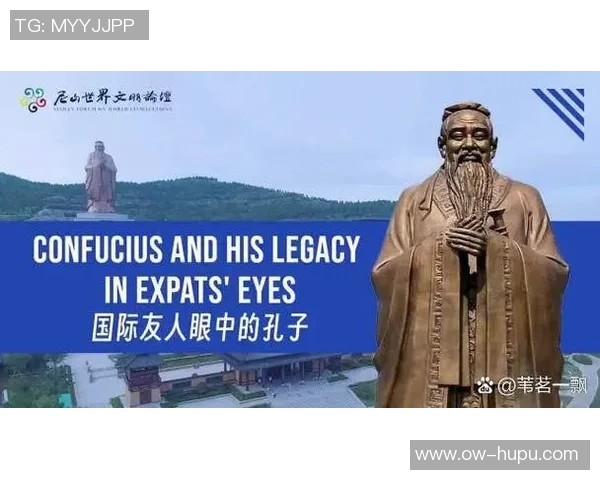 13与24的较量谁能胜出揭示了数字背后的深刻意义与启示