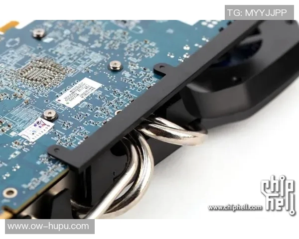 胜利与100线的全面对比分析及用户体验评测